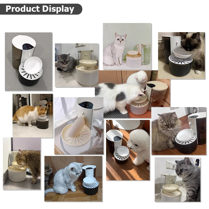 Smart Pet Water Fountain